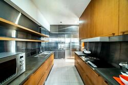 Newton Suites (D11), Apartment #533324071
